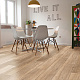 Corkart Enzo 4V PY 4006 LNN X / DNN X