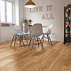 Corkart Enzo 4V PY 4007 LNN X / DNN X