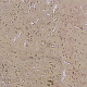 Corkart Narrow Plank HDF CU3 185w CN B