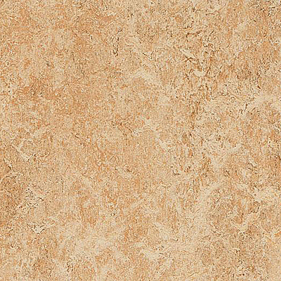 Marmoleum Marbled Real 3075 Shell - 2.5