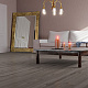 The Floor WOOD P1002 Aspen Oak 5G