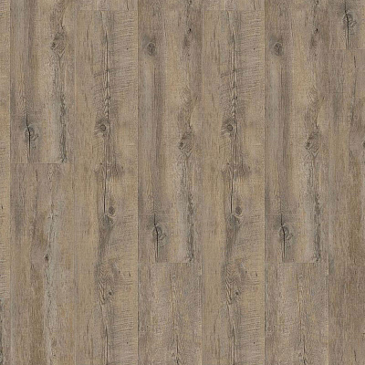 Wineo 400 Wood DB00110 Embrace oak grey