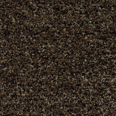 Coral Brush с кантом 5774 biscotti brown