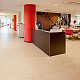 Marmoleum Marbled Real 3120 Rosato - 2.5