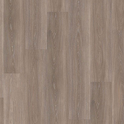 Wineo 400 Wood DB00115 Spirit oak silver