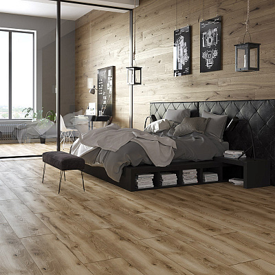 Arteo 10 XL 4V WR 54842 Дуб Фьордленд