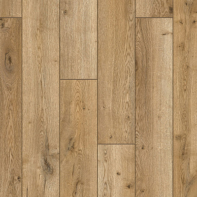 Arteo 8 S 4V WR 54805 Дуб Накуру