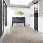 Wineo 400 Wood DB00108 Desire oak light