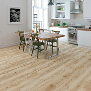 Arteo One Natur Elite 4V 53658 Дуб Калифорнийский