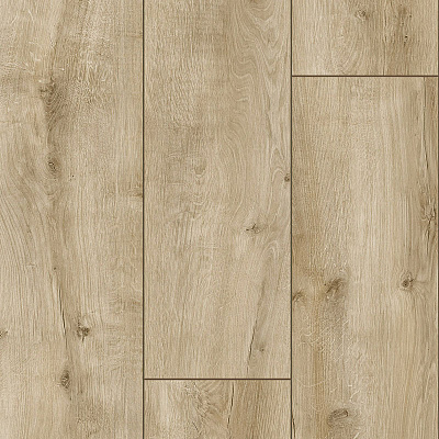 Arteo 8 XL 4V WR 54820 Дуб Пикус