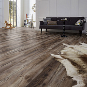 Kronotex Exquisit Plus  D6006 Клен Каньон темный