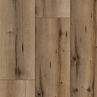Arteo 8 XL 4V WR 54836 Дуб Калимнос