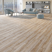 Varioclic Extensive АС5/33 4V 797 Safranbolu