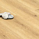 Stone Floor MSPC  MP 0004-5 Дуб Полуденный