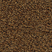 Coral Brush с кантом 5716 Masala Brown