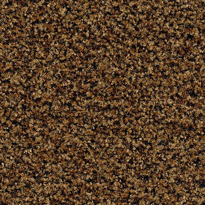 Coral Brush с кантом 5716 Masala Brown