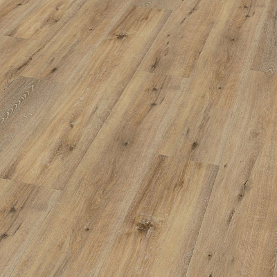 Wineo 400 Wood XL DB00126 Joy oak tender