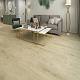 Hoi Lock Flooring Pekin 60359PK Ланьхуа