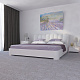Fancy 152