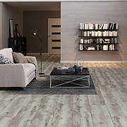 Arteo 10 XL 4V WR 54847 Дуб Сильверстоун