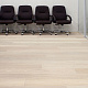 Wood Bee Дуб арктик грэй Arctik grey