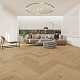 Evofloor Parquet Glue  Aveiro (Авейру)