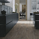 Wineo 800 Wood DLC00078 Balearic Wild Oak Дуб болеарский дикий