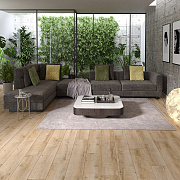 Arteo 8 XL 4V WR 54807 Дуб Коннемара