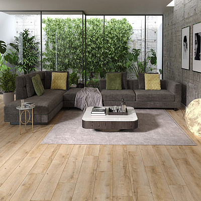Arteo 8 XL 4V WR 54807 Дуб Коннемара