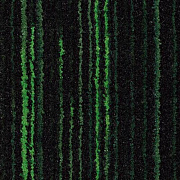 Coral Welcome с кантом 3208 matrix