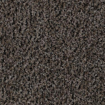 Coral Brush с кантом 5714 Shark Grey