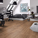 Kronopol Dresden 8 32 4V 5G DR 3746 Дуб Хайде