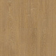 Alloc Original  2128 Дуб Янтарный (4562)