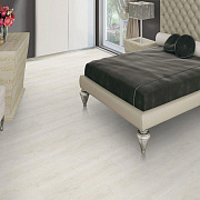 Corkstyle Wood  Oak Polar White (glue)