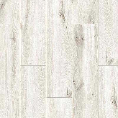 Harmony Forte WR 55955 Дуб Аврора