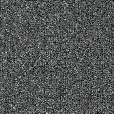 Coral Classic с кантом 4751 silver grey