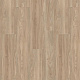 Wineo 400 Wood DB00109 Compassion oak tender