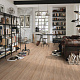 Wineo 400 Wood DB00109 Compassion oak tender