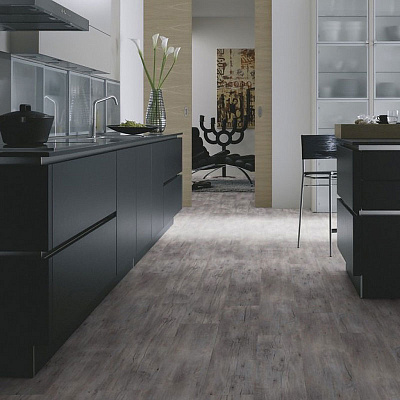 Wineo 800 Wood DLC00082 Riga Vibrant Pine Сосна рига яркая