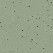 Sphera Energetic 50236 thyme - 2.0