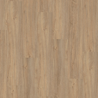 Wineo 400 Wood DLC00112 Paradise oak essential