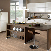 Wineo 400 Wood MLD00109 Compassion oak tender