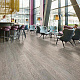 Surestep Wood 18832 Grey Oak - 2.0