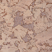 Corkart Classic  PW3 324c NK-3.0