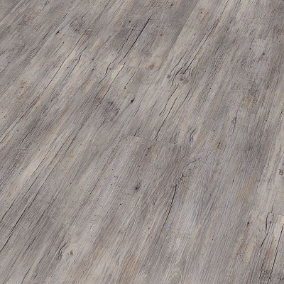 Wineo 800 Wood DLC00082 Riga Vibrant Pine Сосна рига яркая