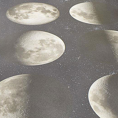 Surestep Digital Print 17982 Moon - 2.0