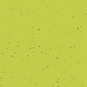 Sphera Energetic 50214 lime - 2.0