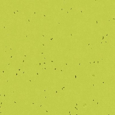 Sphera Energetic 50214 lime - 2.0