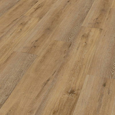 Wineo 400 Wood XL DB00128 Liberation oak timeless
