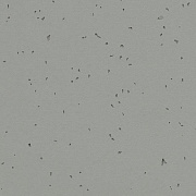 Sphera Energetic 50216 pigeon - 2.0